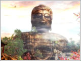 �л�Ӣ�۾�����ֽ